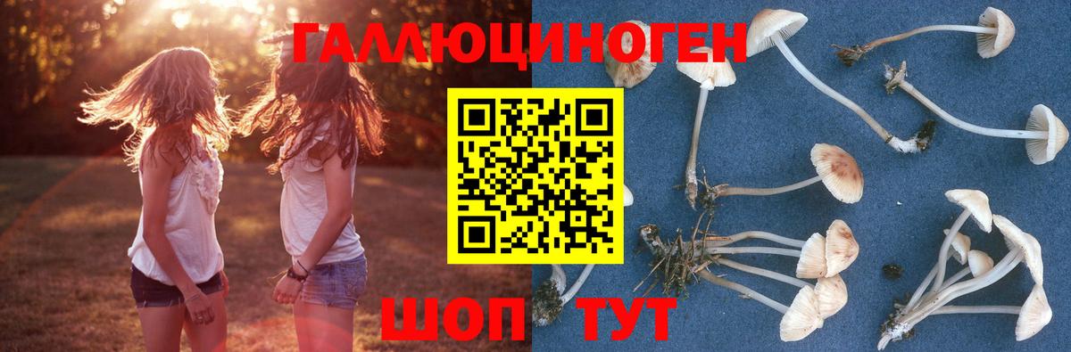где можно купить наркотик  Псилоцибиновые грибы Psilocybine cubensis  Усолье-Сибирское  Вход с VPN  Галлюциногенные грибы Cubensis 